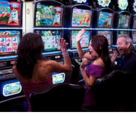 新葡萄(8883·AMG)2024最新版