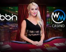 新葡萄(8883·AMG)2024最新版