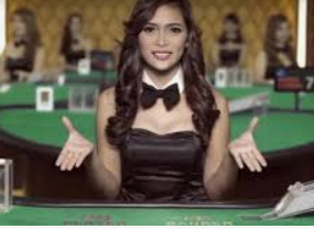 新葡萄(8883·AMG)最新版